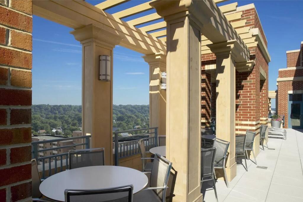 Bright And Cozy Apartment Near Pentagon City Арлінгтон Екстер'єр фото