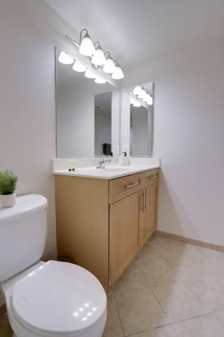 Bright And Cozy Apartment Near Pentagon City Арлінгтон Екстер'єр фото